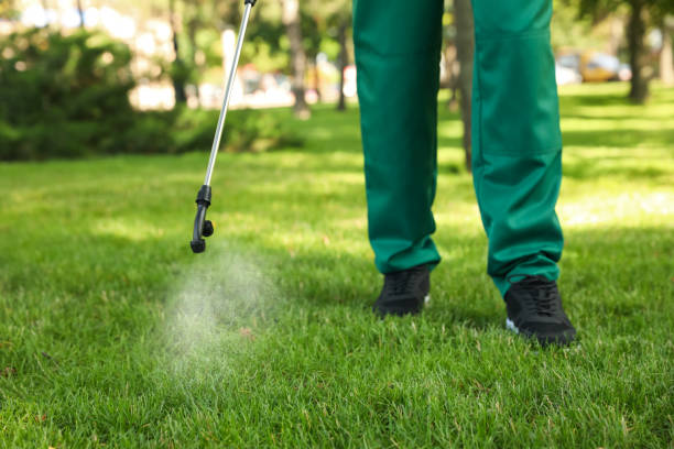 Reliable Dunlap, OH Pest Control Solutions