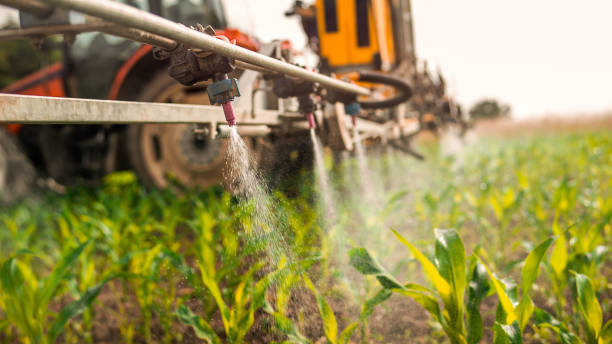 Best Best Pest Control Companies  in Dunlap, OH